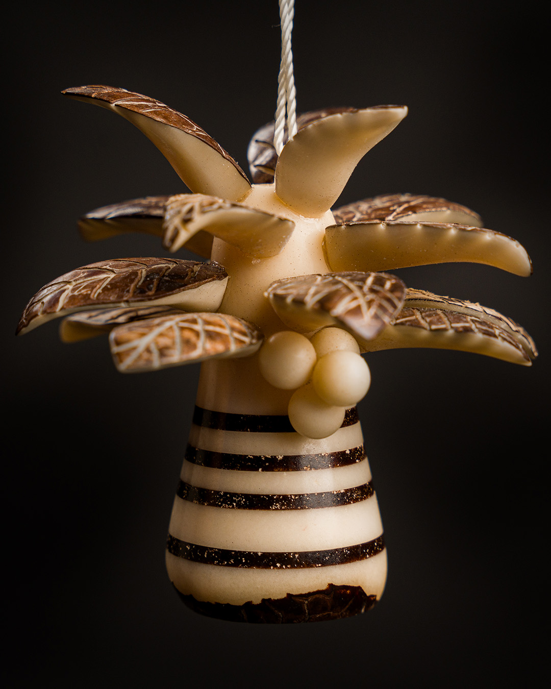 Palmera Colgante